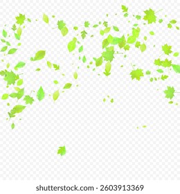 Leaves Falling. Spring Flying Foliage. Chaotic Green Leaf Flying On Transparent Background. Forest Design, Nature Elements. Ecology Vector Illustration. Environment Backdrop.
