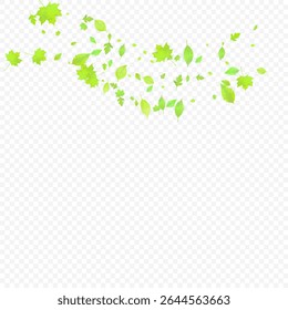 Leaves Falling. Spring Flying Foliage. Chaotic Green Leaf Flying On Transparent Background. Forest Design, Nature Elements. Ecology Vector Illustration. Environment Backdrop.