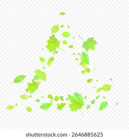 Leaves Falling. Spring Flying Foliage. Chaotic Green Leaf Flying On Transparent Background. Forest Design, Nature Elements. Ecology Vector Illustration. Environment Backdrop.