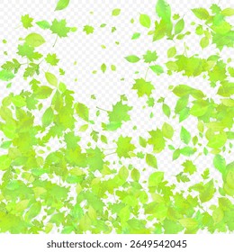 Folhas Caindo. Foliagem Voadora primavera. Folha Verde Caótica Voando Sobre Fundo Transparente. Desenho Florestal, Elementos da Natureza. Ilustração de Vetor Ecológico. Ambiente de fundo.