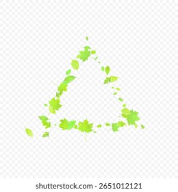 Folhas Caindo. Foliagem Voadora primavera. Folha Verde Caótica Voando Sobre Fundo Transparente. Desenho Florestal, Elementos da Natureza. Ilustração de Vetor Ecológico. Ambiente de fundo.