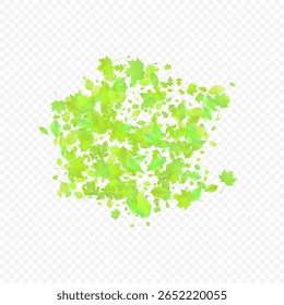 Folhas Caindo. Foliagem Voadora primavera. Folha Verde Caótica Voando Sobre Fundo Transparente. Desenho Florestal, Elementos da Natureza. Ilustração de Vetor Ecológico. Ambiente de fundo.
