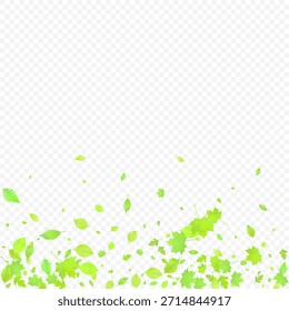 Las Hojas Cayendo. Follaje volador de primavera. Hoja Verde Caótica Volando Sobre Fondo Transparente. Diseño Forestal, Elementos de Naturaleza. Ilustración vectorial de ecología. Contexto ambiental.