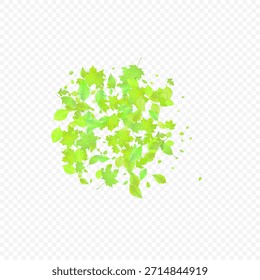 Folhas Caindo. Foliagem Voadora primavera. Folha Verde Caótica Voando Sobre Fundo Transparente. Desenho Florestal, Elementos da Natureza. Ilustração de Vetor Ecológico. Ambiente de fundo.