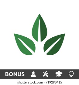 Leaves Flat Color Icon