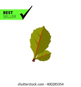 Leaves flat icon