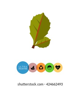 Leaves flat icon
