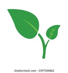leaves flat icon. Herbal leaf sign. Tea or Mentha symbol. flat design elements. nature leaves icon.