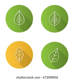 Leaves flat linear long shadow icons set. Poplar, birch, oak leaves. Vector outline illustration