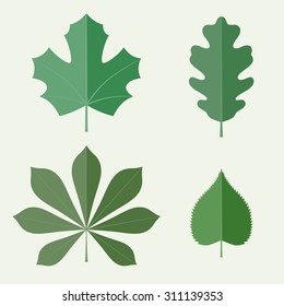 Leaves in flat style