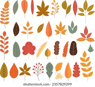 leaves in flat style on white background vector