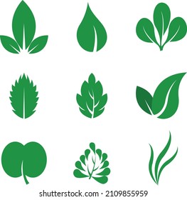 Leaves flat vector Icon set