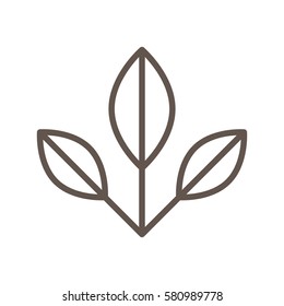 leaves flora decorative design vector illustration eps 10