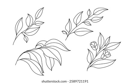 Leaves and floral elements. Botanical line art leaf set. Minimalist nature vector illustrations