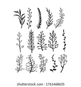 Blätter und Blumenzweig