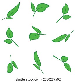Blätter der Blume. Baumblätter. Grüne Blätter. Muster. Zahl2