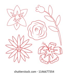 Leaves and flowers