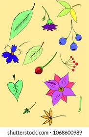 leaves, flowers. Beautiful floral Wallpaper
