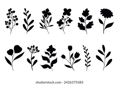 Leaves, flowers and branches silhouettes set. Wild plants and garden flowers silhouettes on white background