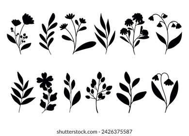 Leaves, flowers and branches silhouettes set. Wild plants and garden flowers silhouettes on white background