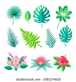 Leaves and flowers collection set leaf of tropical style flourishing blossoms monstera schefflera arboricola isolated on vector illustration