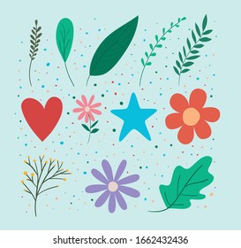 leaves flowers heart and star set design of Floral nature plant garden ornament botany decoration and life theme Vector illustration