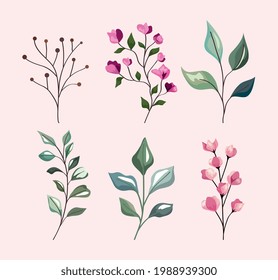 leaves and flowers icon collection