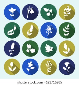 Leaves and flowers icons set. Vector design elements. It can be used as - logo, pictogram, icon, infographic element.