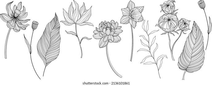 Leaves and flowers isolated on white. Hand drawn vector illustration. Abstract composition