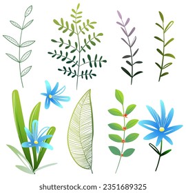 Leaves Flowers and Plants, Botanical Clip Art Collection. Set of nature hand drawn elements for elegant design. Vector hand drawn illustration set in watercolor style.