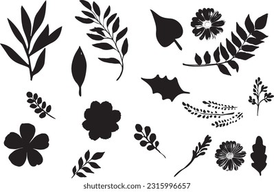 Leaves and flowers silhoutte collection. Set of natural graphic elements