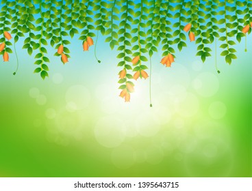 Leaves and flowers with soft bright bokeh and sunlight, fresh green nature background vector illustration