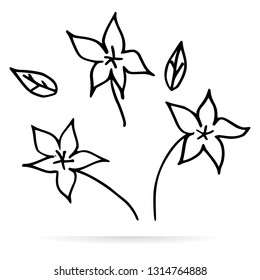 Leaves or flowers vector design icon. Sketch icon isolated on background. Hand drawn sketch. - Vector