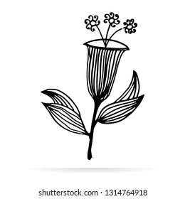Leaves or flowers vector design icon. Sketch icon isolated on background. Hand drawn sketch. - Vector
