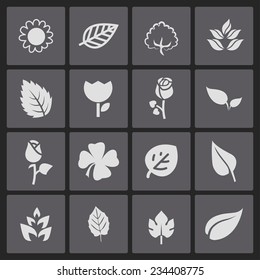leaves flowers vector icon set