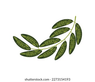 leaves foliage icon white background