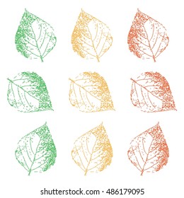 Leaves and foliage. Leaf set. Hand drawn. Graphic drawing. Vector illustration.