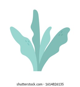 leaves foliage nature on white background vector illustration