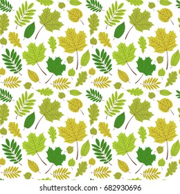 Leaves forest pattern vector seamless. Tree foliage on white background. Nature greenery print for seasonal banner, eco natural product package, wallpaper, wrapping paper or card template.