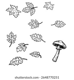 Folhas de árvores da floresta, conjunto de silhuetas, esboço em tinta preta e branca. Ilustração vetorial. Folhagem de outono e primavera e cogumelos, isolados sobre fundo branco. Para cartão postal, têxteis e impressão