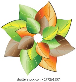 Leaves in four seasons