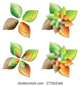 Leaves in four seasons vector