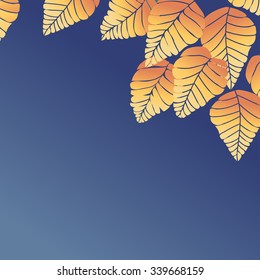 Leaves frame border.