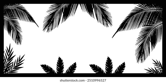 Marco de hojas con silueta de espacio vacío, Una foto en blanco y negro de palmeras con hojas y ramas