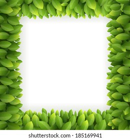 Leaves frame isolated on white background, Vector illustration.