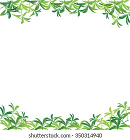 Leaves frame on white background.vector illustration.
