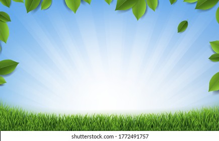 Leaves Frame With Sunburst Background And Green Grass With Gradient Mesh, Vector Illustration