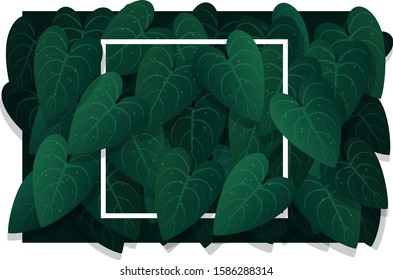 Leaves with frame vector design illustration
