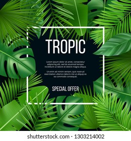 Leaves frame. Vector design template with nature green plants tropical picture with place for your text