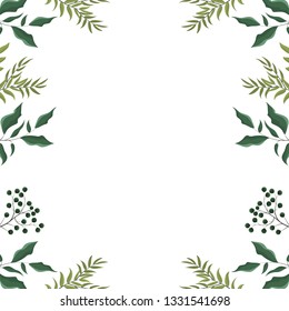 Leaves frame white background